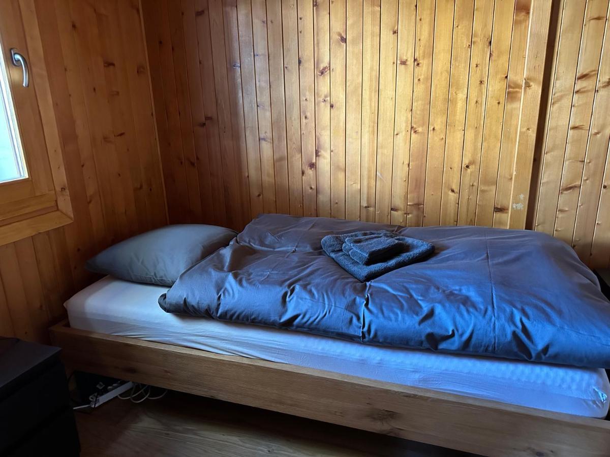 Chalet Edelweiss A Saint-Martin, Val D'Herens Εξωτερικό φωτογραφία